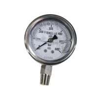 Pressure Gauge 1