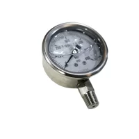 Pressure Gauge 2
