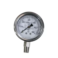 Pressure Gauge 3