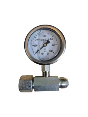 Pressure Gauge 600 Barg