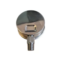 Pressure Gauge 600 Barg